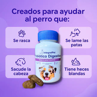 Probiótico IntegralPet-RECUPERA LA SALUD DE TU PERRO ✅