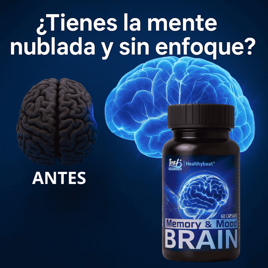 BRAIN-Libera tu mente del cansancio mental y el estrés✨