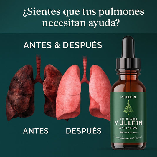 Mullein-Libera tus pulmones del humo, el polvo y la contaminación🌿
